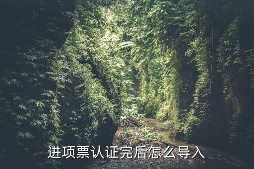 抵扣票如何認(rèn)證系統(tǒng)下載，增值稅發(fā)票怎樣自己認(rèn)證需要下載什么軟件什么步驟呢