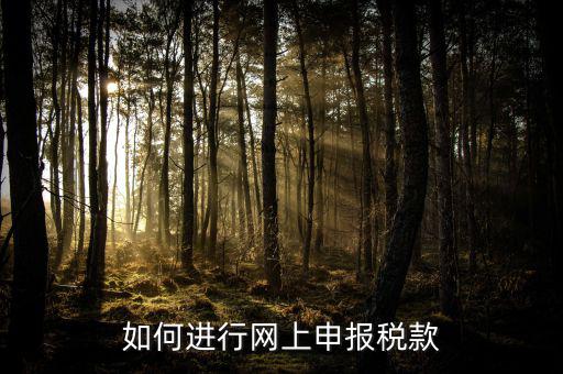 網(wǎng)上申報系統(tǒng)如何報稅，如何進行網(wǎng)上申報稅款