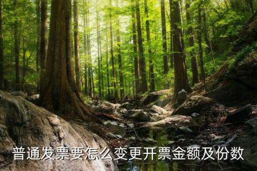 如何申請(qǐng)發(fā)票額度變更，普通發(fā)票要怎么變更開(kāi)票金額及份數(shù)