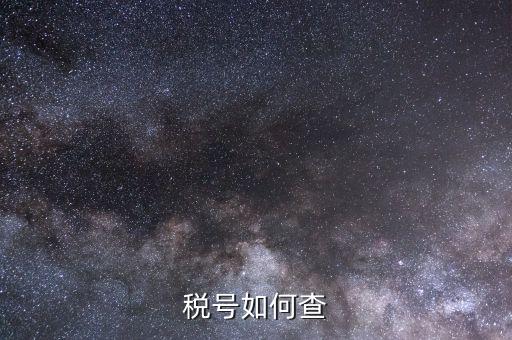 如何查詢企業(yè)稅號，請問如何在網(wǎng)上通過單位名稱查詢稅號