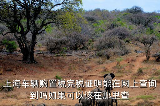 上海車輛購置稅完稅證明能在網上查詢到嗎如果可以該在那里查