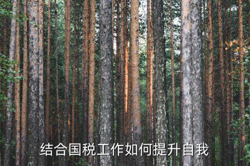 國稅工作總結(jié)如何出彩，2015年國稅貨勞科工作總結(jié)
