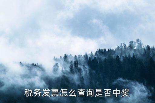 如何查地稅發(fā)票中獎，稅務發(fā)票怎么查詢是否中獎