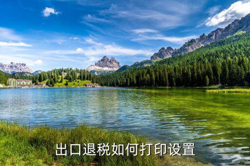 如何打印出口退稅備案表，出口退稅系統(tǒng)內(nèi)的增值稅申報(bào)表如何打印