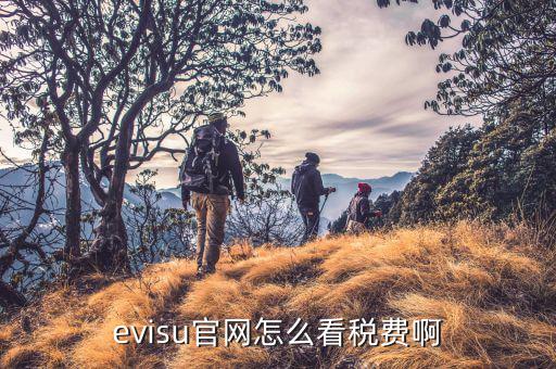 如何查外國稅制，外國的稅收政策在哪里可以查到像日本新加坡