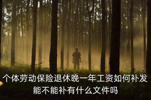 如何補(bǔ)發(fā)工資，個(gè)體勞動(dòng)保險(xiǎn)退休晚一年工資如何補(bǔ)發(fā)能不能補(bǔ)有什么文件嗎