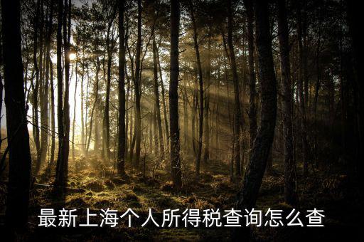 上海個(gè)人所得稅如何查詢，最新上海個(gè)人所得稅查詢怎么查