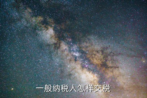 一般納稅人如何繳稅，一般納稅人怎樣交稅
