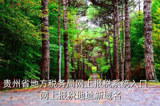 貴州地稅如何網(wǎng)上申報(bào)，貴州省地方稅務(wù)局網(wǎng)上報(bào)稅系統(tǒng)入口二網(wǎng)上報(bào)稅地址新域名
