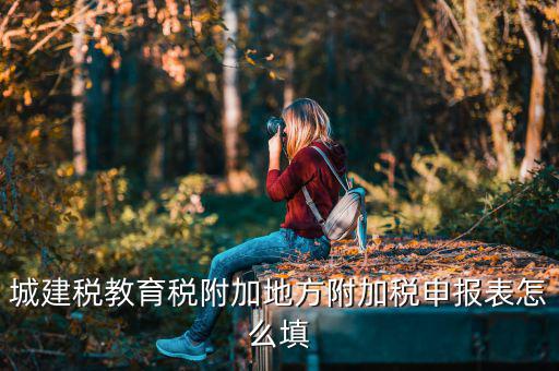 新城建稅附加表如何填，網(wǎng)上申報城建稅教育附加稅怎么填
