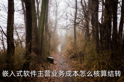 嵌入式軟件成本如何確定，嵌入式軟件主營(yíng)業(yè)務(wù)成本怎么核算結(jié)轉(zhuǎn)
