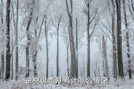 金稅盤如何清稅盤，金稅盤如何清卡解鎖