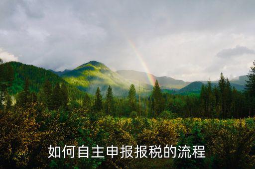 如何進(jìn)行稅務(wù)申報，個體戶如何申報稅