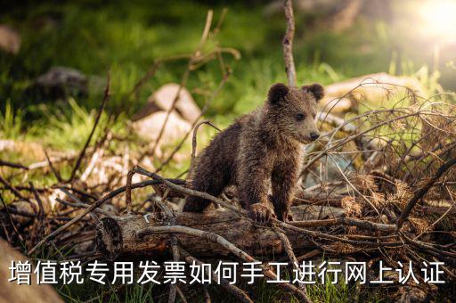 如何手工認(rèn)證發(fā)票，網(wǎng)上發(fā)票認(rèn)證怎么手工輸入