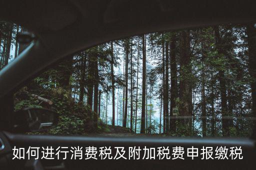 附加稅如何才能申報(bào)，如何進(jìn)行消費(fèi)稅及附加稅費(fèi)申報(bào)繳稅