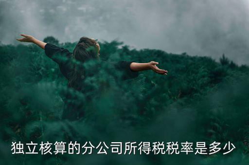 獨立核算的分公司如何納稅，誰知道獨立核算的同城分公司如何繳稅