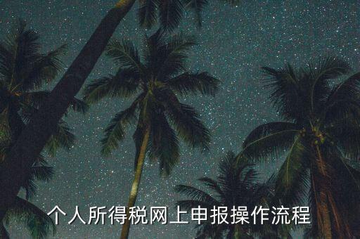 上海個(gè)人所得稅如何申報(bào)，上海企業(yè)如何交個(gè)人所得稅