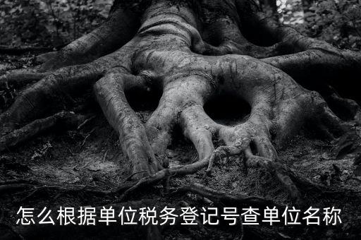 如何通過稅號查單位，知道納稅人識別號怎么查單位