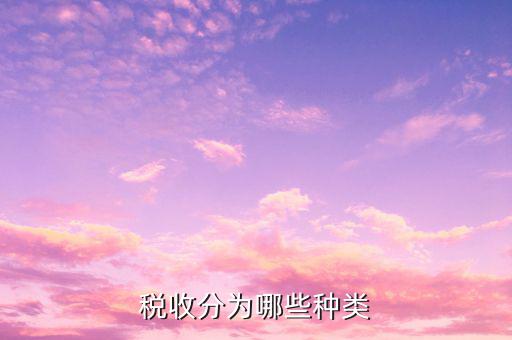 如何對稅收進行分類，我國的稅收分類方式主要有哪些