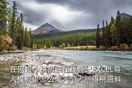 北京個(gè)稅明細(xì)申報(bào)如何導(dǎo)入，在網(wǎng)報(bào)個(gè)稅明細(xì)在線登記EXCEL導(dǎo)入模板里怎么錄入個(gè)人所得稅資料