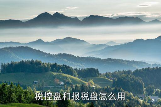 如何使用稅控盤報稅，求金稅盤如何在電腦上報稅操作流程
