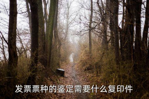 如何做票種認(rèn)定，如何申請(qǐng)發(fā)票票種
