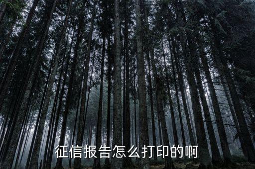 如何打印納稅信用等級，征信報告怎么打印的啊