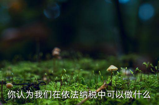 如何做到依法納稅，你認(rèn)為我們在依法納稅中可以做什么