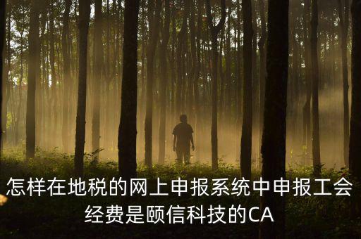 工會(huì)經(jīng)費(fèi)如何網(wǎng)上申報(bào)，怎樣在地稅的網(wǎng)上申報(bào)系統(tǒng)中申報(bào)工會(huì)經(jīng)費(fèi)是頤信科技的CA