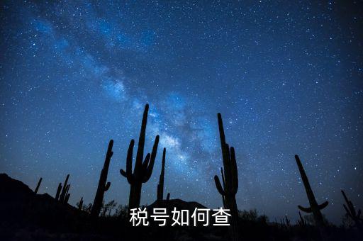 發(fā)票稅號如何查詢系統(tǒng)，開發(fā)票不知道客戶的稅號應該怎么查