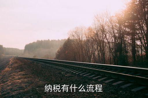 如何做納稅工作，怎么做好 稅管工作
