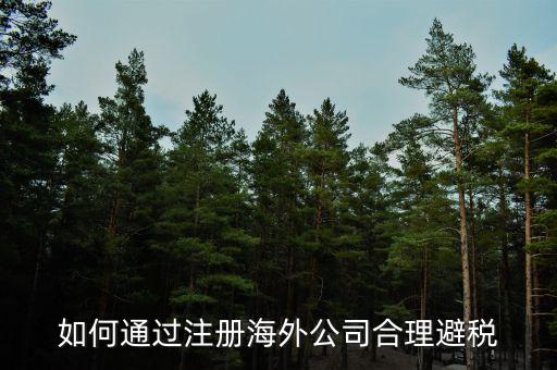 在境外注冊子公司如何避所得稅，離岸公司如何避個稅