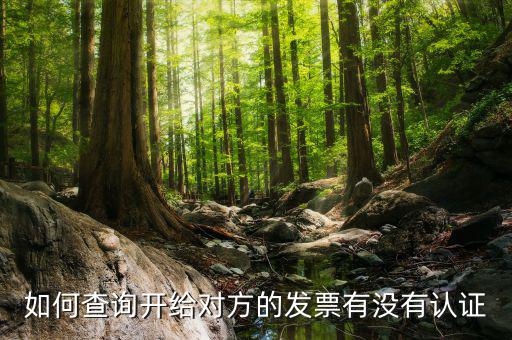 如何查詢發(fā)票認(rèn)證信息查詢，如何查詢開給對方的發(fā)票有沒有認(rèn)證