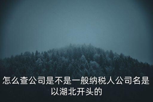 如何查詢企業(yè)是否是一般納稅人，怎么查公司是不是一般納稅人公司名是以湖北開頭的