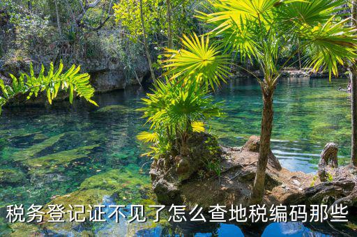 如何查地稅編碼，五證合一后地稅編碼怎么查