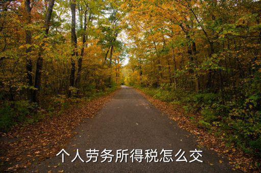 個人勞務費如何繳稅，勞務報酬所得怎么繳納個人所得稅