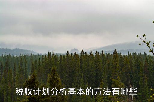 如何打造稅收分析拳頭產(chǎn)品，如何做好稅收預(yù)測工作