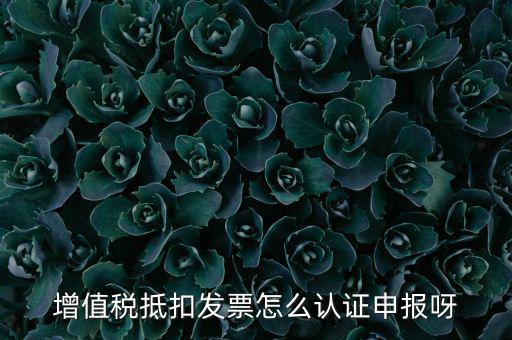 如何認(rèn)證抵扣發(fā)票，增值稅抵扣發(fā)票怎么認(rèn)證申報(bào)呀