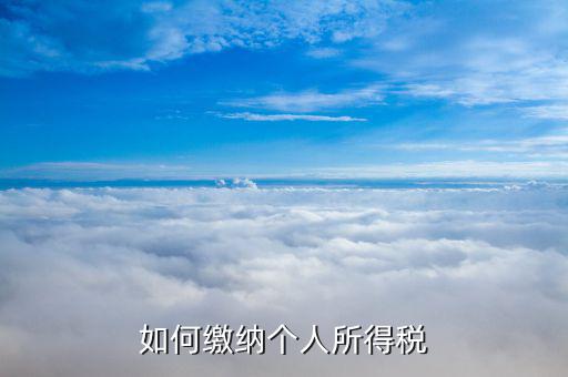 個(gè)體員工如何辦理個(gè)稅，如何繳納個(gè)人所得稅
