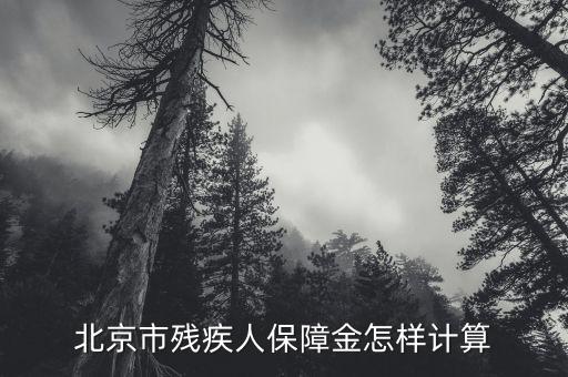 北京市殘疾人保障金如何計(jì)算方法，北京市殘疾人保障金怎樣計(jì)算