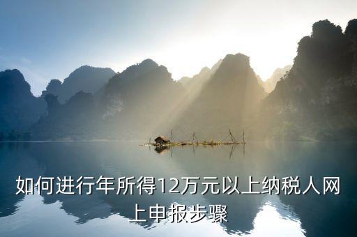 攜稅寶如何申報12萬元，年收入12萬如何申報