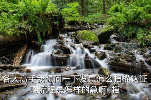 如何使用掃描儀認(rèn)證發(fā)票嗎，各人高手我想問一下發(fā)票怎么掃描認(rèn)證啊流程是怎樣的急啊  搜