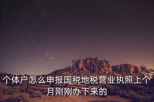 個體定額如何申報國稅，個體戶如何申報國稅和地稅