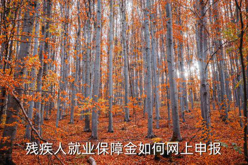 安徽殘疾人保障金如何網上申報，殘疾人就業(yè)保障金如何網上申報