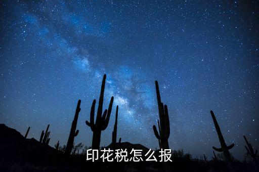 如何國稅申報印花稅，印花稅怎么報