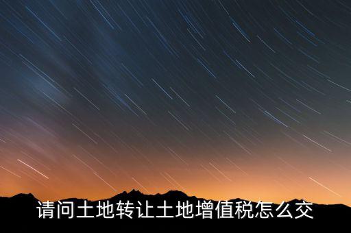 請(qǐng)問土地轉(zhuǎn)讓土地增值稅怎么交