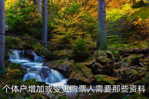 如何增加辦稅人員，請(qǐng)問(wèn)怎樣才能增加一個(gè)辦稅人需要什么資料
