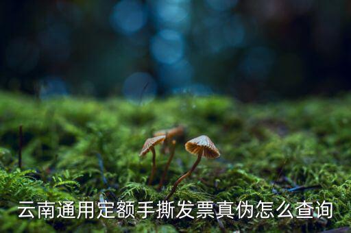 云南定額發(fā)票如何查詢系統(tǒng)，云南通用定額手撕發(fā)票真?zhèn)卧趺床樵?/></a></span><span id=