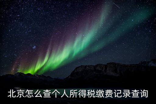 北京地稅個人如何查詢系統(tǒng)，北京個人所得稅怎么查詢