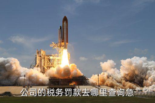 如何查稅收罰款，公司的稅務(wù)罰款去哪里查詢急